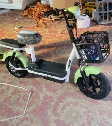 飞鸽电动车 全新电池780 不要电池490...