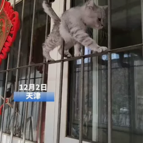 电动车转让，品牌台铃的，只支持面交，泰山路...
