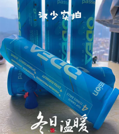 Odear欧帝尔网球专业比赛球高弹耐打训练...