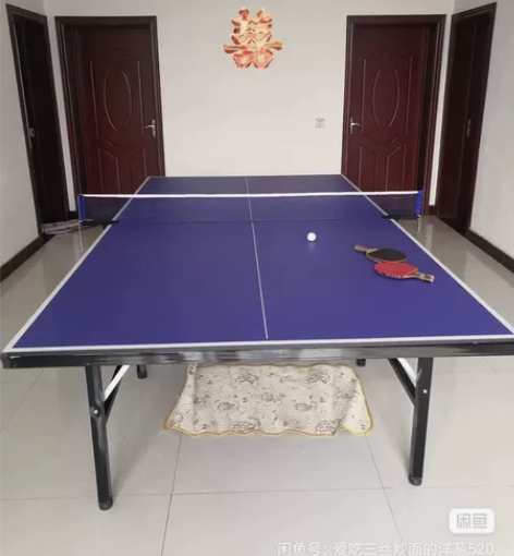 乒乓球桌,9成新,闲置在家,红双喜(加1块...
