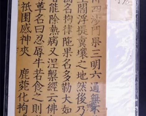 南宋《碛砂藏》《法苑珠林》散页一张,宋版宋...