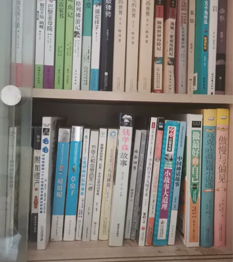 都是小时候看过的名著或儿童读物（中间可能掺...