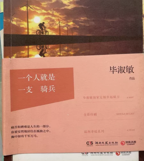 《一个人就是一支骑兵》毕淑敏 99新，买完...