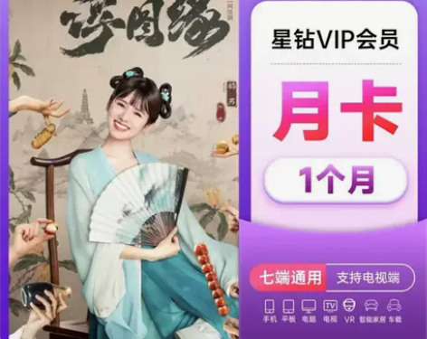 爱奇艺星钻会员月卡 直充爱奇艺vlp星钻会...