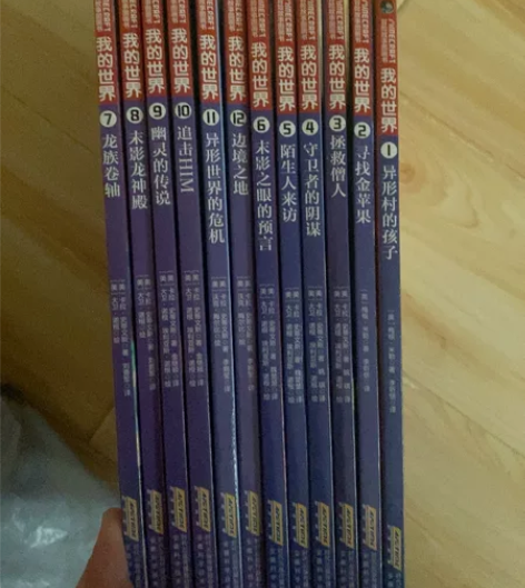 闲置 我的世界 冒险故事图画书 漫画书闲置...