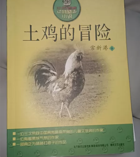 小说土鸡的冒险，几乎全新，建议多本一起买超...