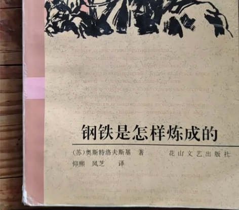 正版；钢铁是怎样炼成的 /[苏]尼·奥斯特...