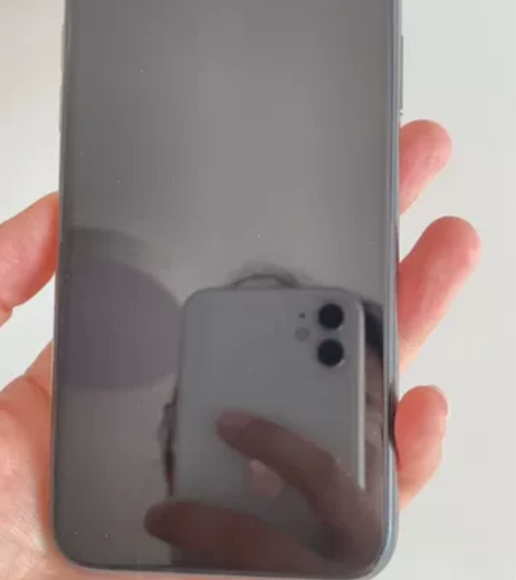 自用iphonex 256 国行，成色95...