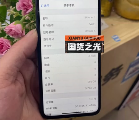 iphone苹果x国行256gID已退过保...