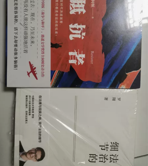 《抵抗者》，何顿，百花洲文艺出版社，中国版...