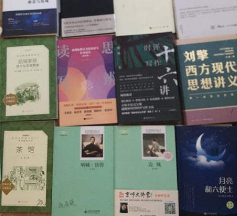 高中必读选读书目 慈悲与玫瑰 人类群星闪耀...