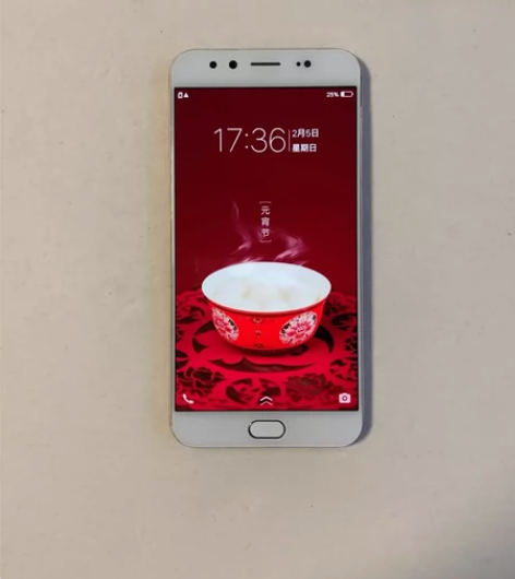 ViVO X9 Plus,6G+64G 【...