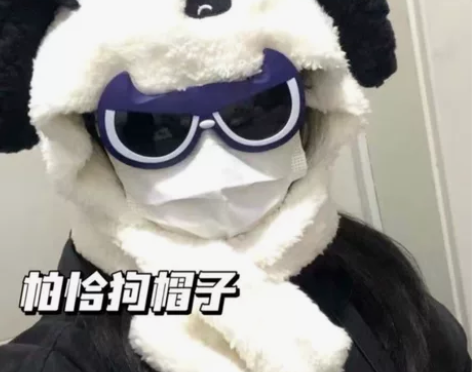 小红书同款高颜值日系软妹帕恰狗毛绒帽可爱甜...