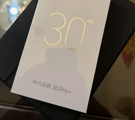 单位发的ZTE/中兴远航30pro+(5G...
