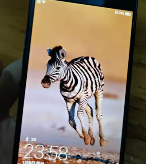 海信手机A2Pro，水墨屏电子书阅读器，电...