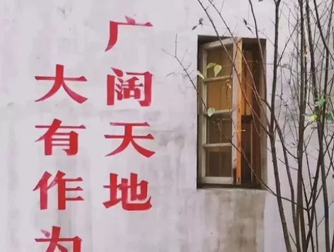 接stm32，51 C语言 openmv代...