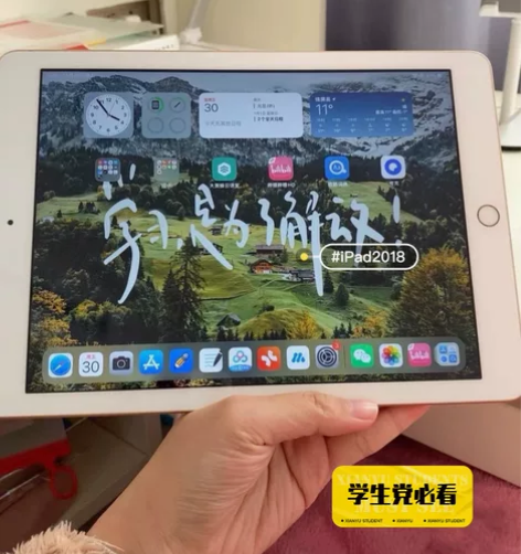 【捡漏特价出】iPad2017 128G平...