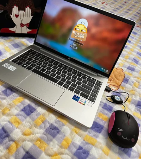 自用笔记本电脑 惠普（HP）战66 四代 ...