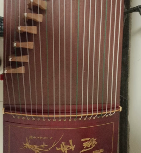 古筝 送一个装书的架子，而且有外壳 有装古...
