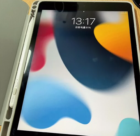 忍痛出售iPad 2021款9代256G ...