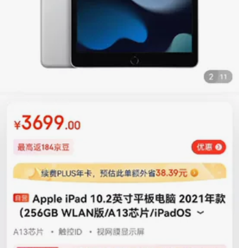 Apple/苹果 ipad 21款Appl...