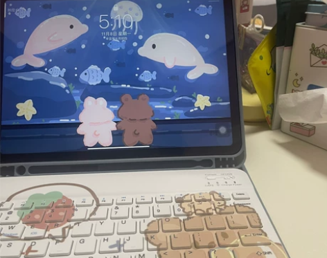 蓝牙键盘+pad air4壳 仅试用 无痕...