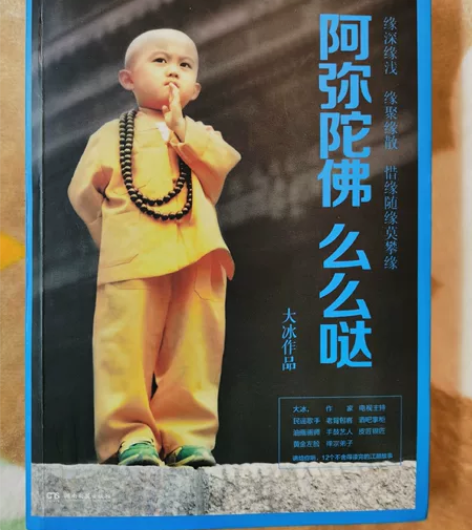 闲置书籍 阿弥陀佛 么么哒 98新 大冰作...