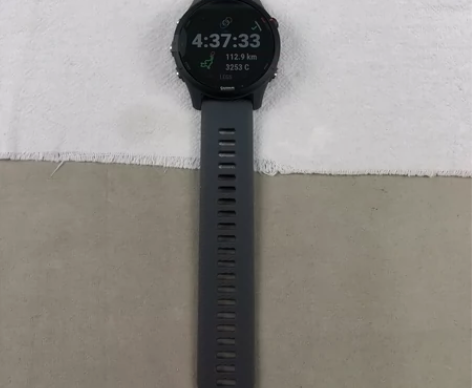 佳明（GARMIN）Forerunner2...