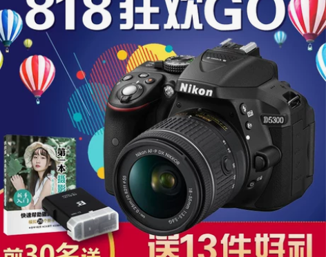 Nikon/尼康D5300(18-55)套...