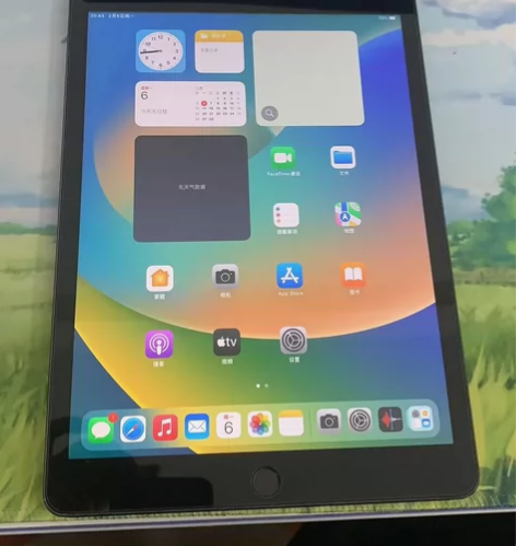 苹果 ipad2020款8代128G插卡版...