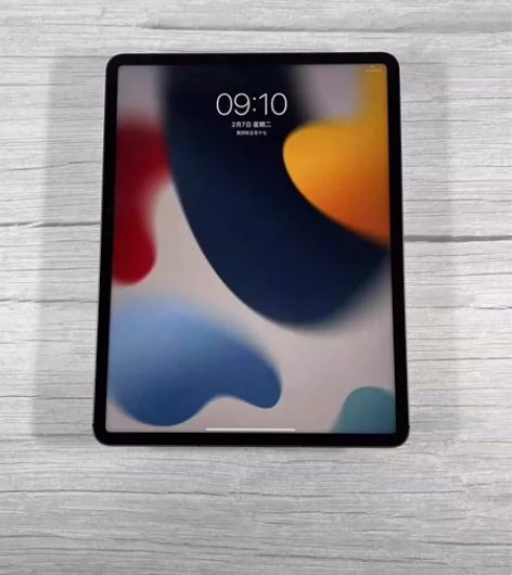 Apple/苹果 iPad Pro 12....