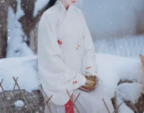 转卖绝版全新兰若庭 汉服 红果果 马面 交...