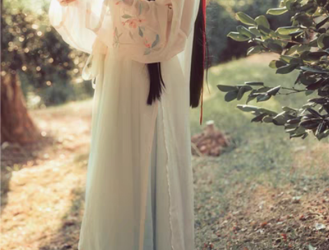 包邮【出】兰若庭 汉服 海棠春 立领 绣花...