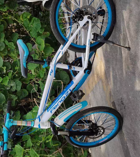 凤凰凤之星学生山地车 出一辆原装正品凤凰凤...