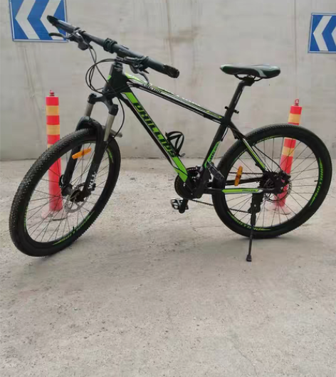 菲利普AMG100山地车 高端车，成色还不...