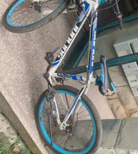 山地自行车24寸，闲鱼买来的代步到地铁站的...