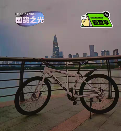 包邮【天津直行车分销渠道商特价】 全新永久...