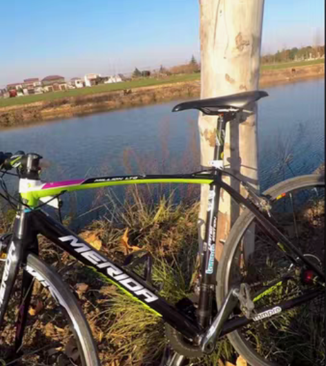 个人自组的美利达百万纪念款涂装，限量版公路...