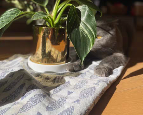 转卖北欧电镀陶瓷插花圆形花瓶花盆花插花器家...