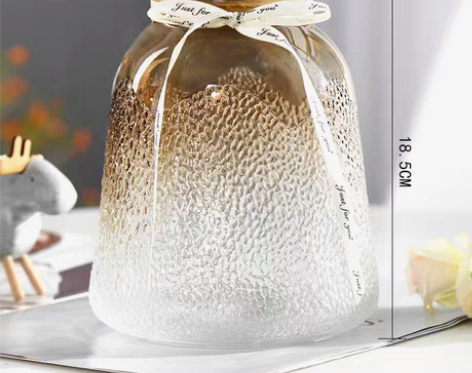 转卖北欧田园简约创意玻璃花瓶水培绿萝玫瑰波...