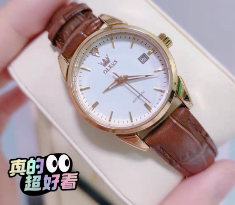 包邮瑞士正品名牌手表女士机械表全自动真皮带...