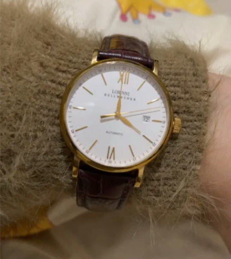 包邮手表男士 罗宾尼机械大表盘罗马数字带日...