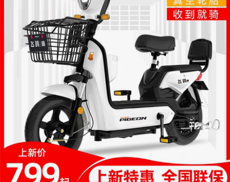 转卖【38活动价】飞鸽新国标电车48V电动...