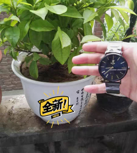 迪塔时尚简约大盘男女石英手表 去年买的一直...