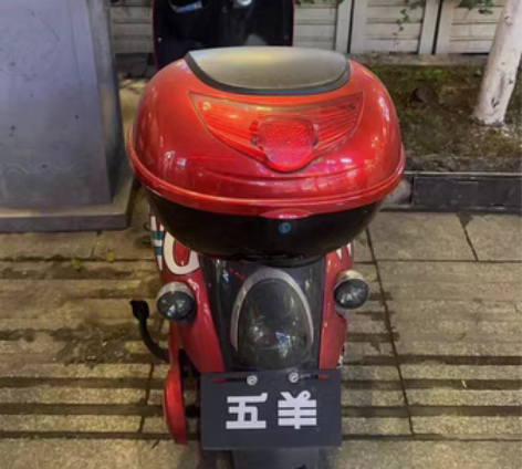 转卖五羊电动车新款电瓶车电动摩托车60V成...
