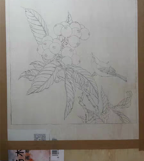 包邮枇杷山鸟图白描，纯手绘，蝉翼熟宣纸、一...