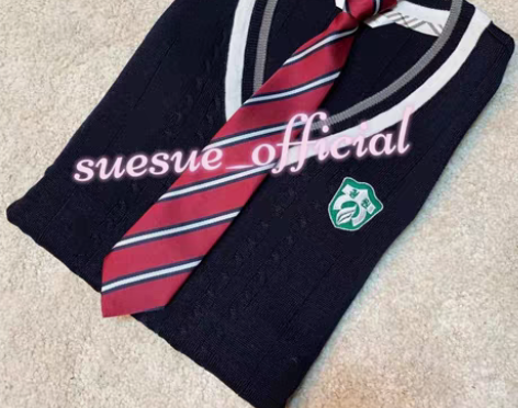 青园女高领带 退坑单出不包u #韩国校服#...