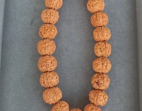 包邮乌里达树祖小金刚菩提手持，21颗，五瓣...