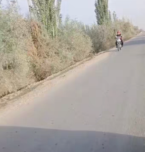 宗申比亚乔150摩托车,发动机无拆修,没怎...