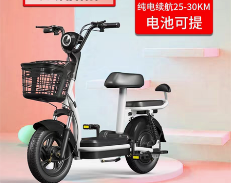 转卖新国标电动车小型车男女士助力电瓶车雅迪...